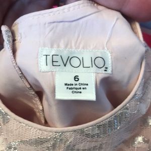 Pink Tevolio Dress